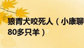 狼青犬咬死人（小康聊百态：4条狼青犬咬死80多只羊）