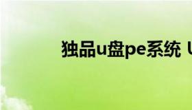 独品u盘pe系统 U盘的PE系统