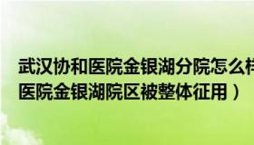 武汉协和医院金银湖分院怎么样（匀枫财经论道：武汉协和医院金银湖院区被整体征用）