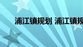 浦江镇规划 浦江镇规划和土地管理所