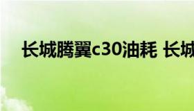 长城腾翼c30油耗 长城腾翼c30油耗高吗