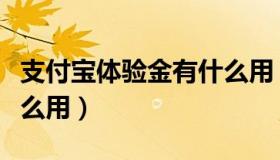 支付宝体验金有什么用（支付宝体验金能干什么用）