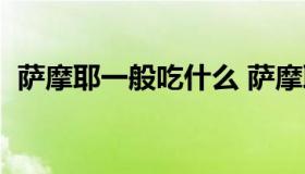 萨摩耶一般吃什么 萨摩耶一般吃什么东西）