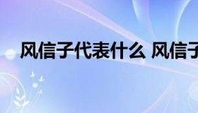 风信子代表什么 风信子代表什么样的人）