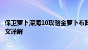 保卫萝卜深海10攻略金萝卜布阵图（保卫萝卜深海10攻略图文详解