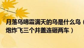 月落乌啼霜满天的乌是什么鸟（月落乌啼心依暖：男童放鞭炮炸飞三个井盖连砸两车）