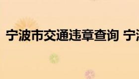 宁波市交通违章查询 宁波公安交通违章查询