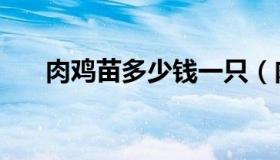 肉鸡苗多少钱一只（肉鸡苗今日价格）