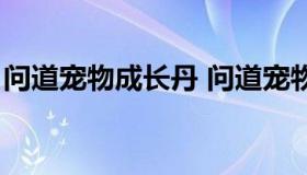 问道宠物成长丹 问道宠物成长丹低成长模式）