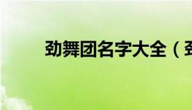 劲舞团名字大全（劲舞团好听名字