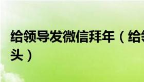 给领导发微信拜年（给领导发微信拜年怎么开头）