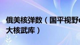 俄美核弹数（国平视野ngp：美防长：俄正扩大核武库）