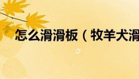 怎么滑滑板（牧羊犬滑滑板下30级楼梯）