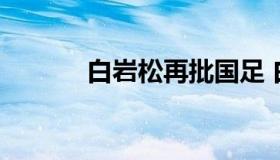 白岩松再批国足 白岩松骂国足