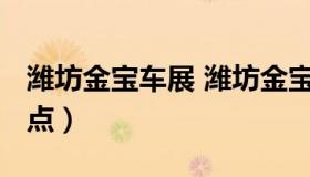 潍坊金宝车展 潍坊金宝车展2022年时间表地点）