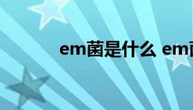 em菌是什么 em菌是什么意思