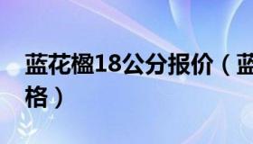 蓝花楹18公分报价（蓝花楹16,17,18公分价格）