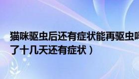 猫咪驱虫后还有症状能再驱虫吗（天天听健康：为何有人阳了十几天还有症状）