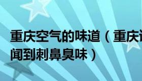 重庆空气的味道（重庆读本：重庆市民称多地闻到刺鼻臭味）