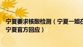 宁夏要求核酸检测（宁夏一姐在努力：未做核酸但查到报告宁夏官方回应）