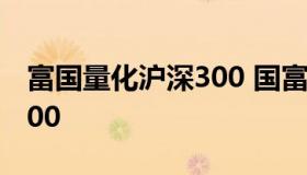 富国量化沪深300 国富沪深300和富国沪深300