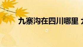 九寨沟在四川哪里 九寨沟位于哪里