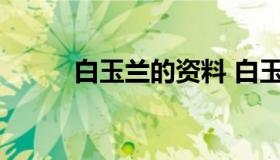 白玉兰的资料 白玉兰的介绍资料