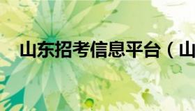 山东招考信息平台（山东省招考网站官网