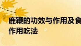 鹿鞭的功效与作用及食用方法 鹿鞭的功效与作用吃法