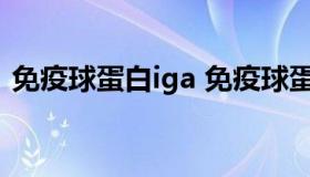 免疫球蛋白iga 免疫球蛋白iga正常值是多少