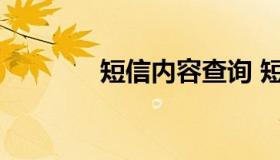 短信内容查询 短信查询系统