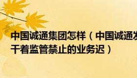 中国诚通集团怎样（中国诚通发展集团(00217)：垃圾公司干着监管禁止的业务迟）