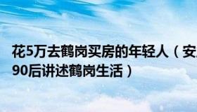 花5万去鹤岗买房的年轻人（安之与安好：4万买房月入过万90后讲述鹤岗生活）