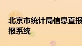 北京市统计局信息直报网 北京市重点税源直报系统