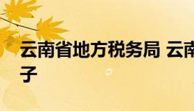 云南省地方税务局 云南省地方税务局领导班子