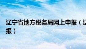 辽宁省地方税务局网上申报（辽宁省电子税务局官网网上申报）