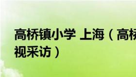 高桥镇小学 上海（高桥镇小学上海教育台电视采访）