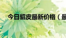 今日貂皮最新价格（最新貂皮价格走势）