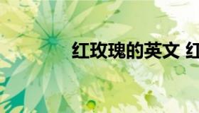 红玫瑰的英文 红玫瑰英文名