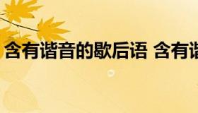 含有谐音的歇后语 含有谐音的歇后语100条）