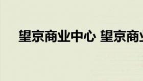 望京商业中心 望京商业中心办公室租金