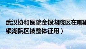 武汉协和医院金银湖院区在哪里（林泠说：武汉协和医院金银湖院区被整体征用）