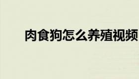 肉食狗怎么养殖视频 肉食狗养殖方法