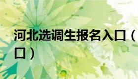 河北选调生报名入口（2021河北选调报名入口）