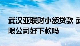 武汉亚联财小额贷款 武汉亚联财小额贷款有限公司好下款吗