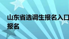 山东省选调生报名入口（山东省选调生官网 报名