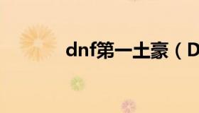 dnf第一土豪（DNF土豪职业