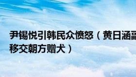 尹锡悦引韩民众愤怒（黄日涵副教授：文在寅向尹锡悦政府移交朝方赠犬）