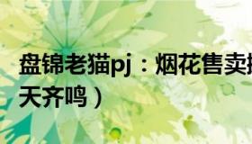 盘锦老猫pj：烟花售卖摊点起火（烟花爆竹漫天齐鸣）