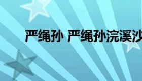 严绳孙 严绳孙浣溪沙瘦损腰肢不耐愁